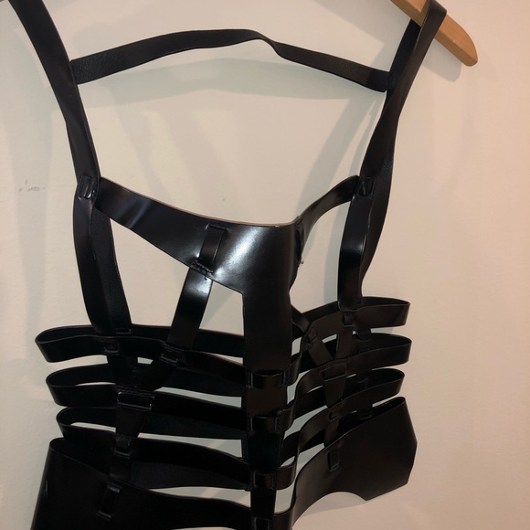Harness - Picture 2 of 3
